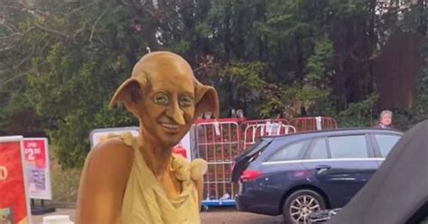 Watch: Love Islander steps out dressed as Dobby from Harry Potter ...