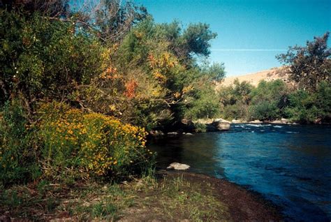 Kern River - Valley Ag Voice