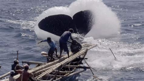 A Film 27 Years In The Making Captures Life In Whale Hunting Indonesian Village Whaling Today