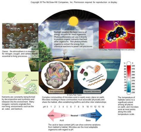 Chapter 7 Elements Of Microbial Nutrition Ecology And Growth