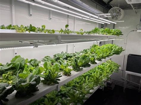Northcentral Technical College On Linkedin Our Garden To Market