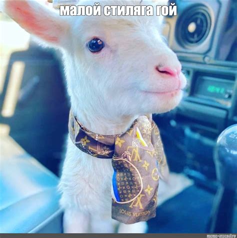 Создать мем "милые козы, sentient, коза" - Картинки - Meme-arsenal.com