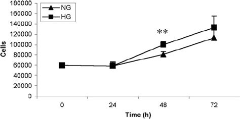 Proliferation Of Vsmcs In Ng And Hg Conditions The Results Are