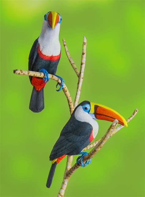 Colorful Toucan Pet Birds Animals Animals Beautiful