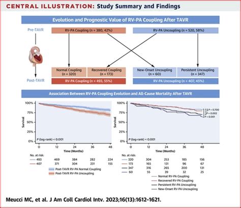 Evolution And Prognostic Impact Of Right VentricularPulmonary Artery