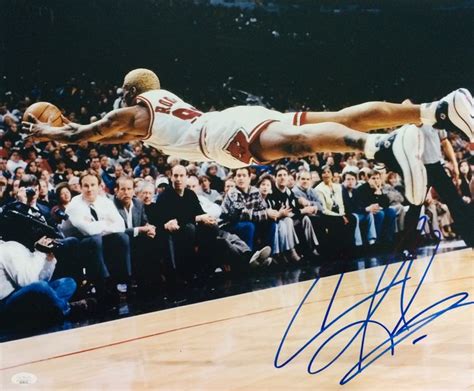 Chicago Bulls Nba Basketbal Dennis Rodman Photograph Catawiki