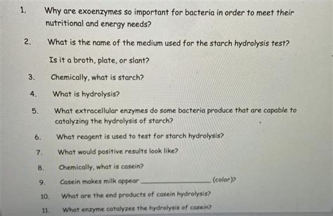 Solved 1. Why are exoenzymes so important for bacteria in | Chegg.com