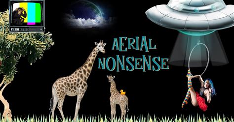Aerial Nonsense
