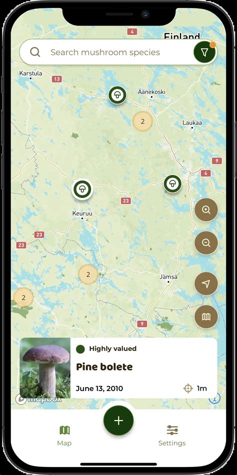 Foragers Are Sharing This Mushroom App Free On Social Media - RYZE Superfoods