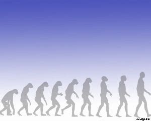 Free Human Evolution PowerPoint Template Slides