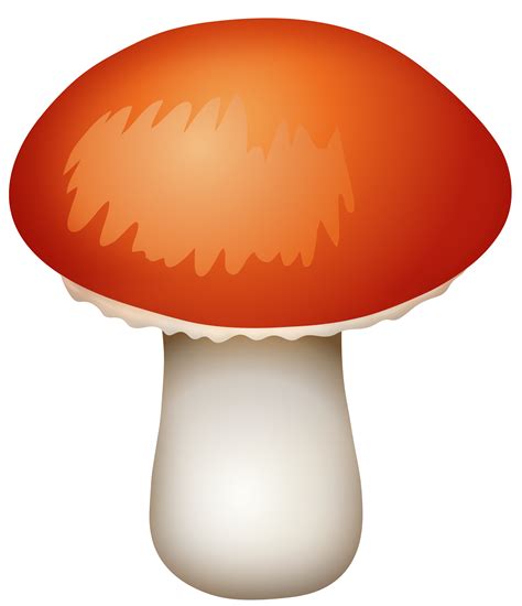 Red Mushroom Png Clipart Best Web Clipart