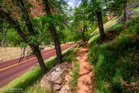 Grotto Trail Photos Joes Guide To Zion National Park