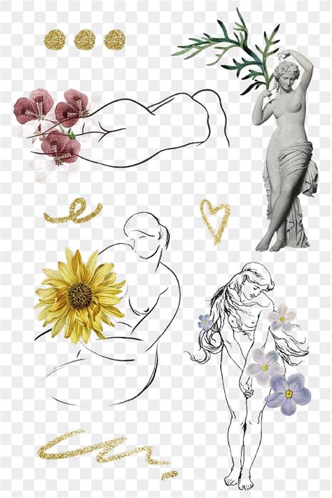 Female Nude Figure Png Set Premium Png Rawpixel