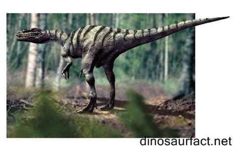 The discovery of the #Liliensternus dinosaur fossils took place in the ...