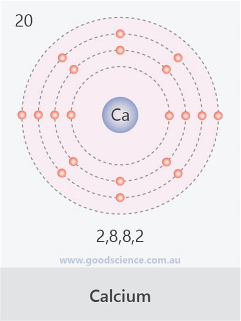 Electron Configuration For Ca 2 At Jennifer Abbott Blog