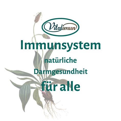 Wie du dein Immunsystem stärken kannst und den Darm natürlich sanierst