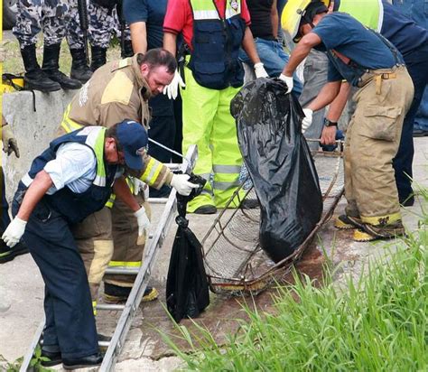 Zerst Ckelte Leichen Tote Reporter Mit Folterspuren In Mexiko Entdeckt