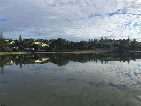 Onehunga Bay Reserve : Onehunga Business Association