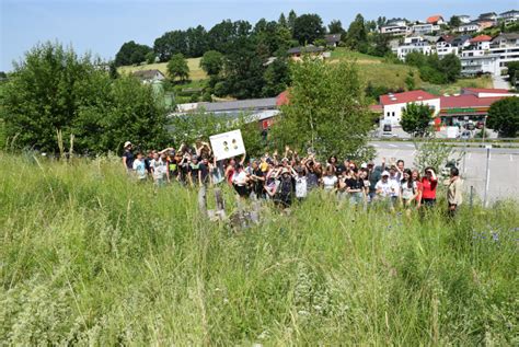 Insektenworkshop Mit Der Naturpark Mittelschule Bad Zell Naturpark