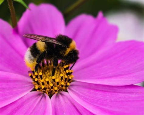 OVB Heimatzeitungen Mehr Natur Im Garten