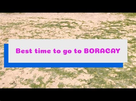 Best Time To Go To Avoid Algae Season In Boracay YouTube