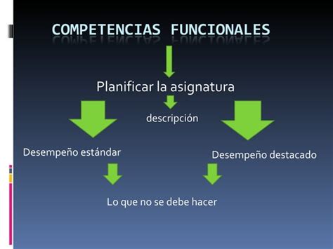 Competencias Funcionales Trabajo 1 PPT