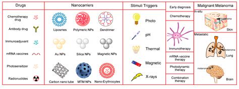 Ijms Free Full Text Nanocarrier Based Drug Delivery For Melanoma