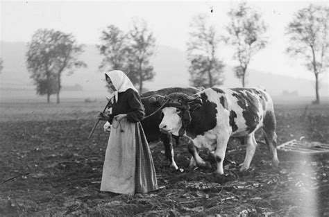 Osse Les Femmes Dans La Grande Guerre Un R Le Fondamental