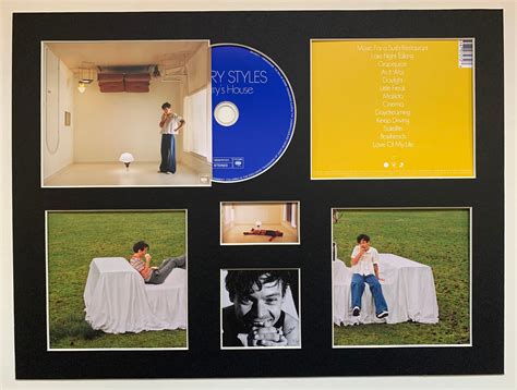 Harry Styles Harry S House Album Display Deluxe With Etsy