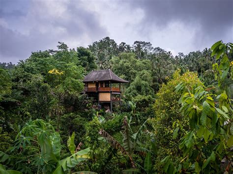 Jungle to rice paddies | Bali Eco Stay - Nurtured by Nature