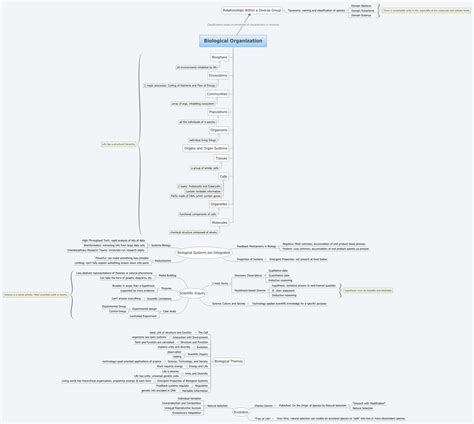 Biological Organization | briguy - Xmind