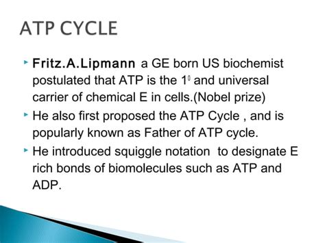 ATP cycle | PPT