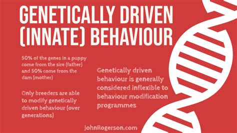 innate  learned behaviour johnrogersoncom