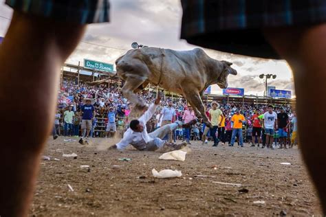 Fotogalería 15 Imágenes Que Retratan Las Fiestas De Santa Cruz