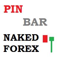 Buy The Naked Forex Pin Bar Indicator For Mt Technical Indicator For