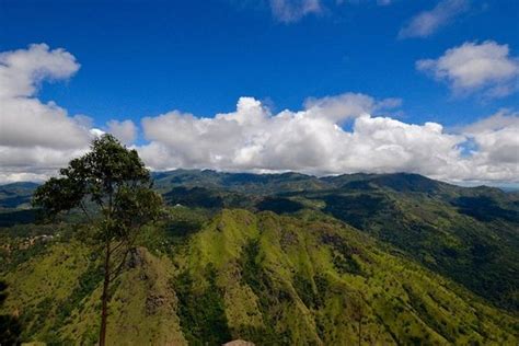 The 15 Best Things To Do In Uva Province 2020 With Photos Tripadvisor