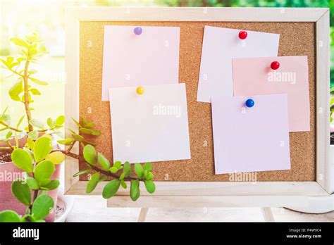 Sticky Note On Cork Board With Little Treegarden Background In Morning