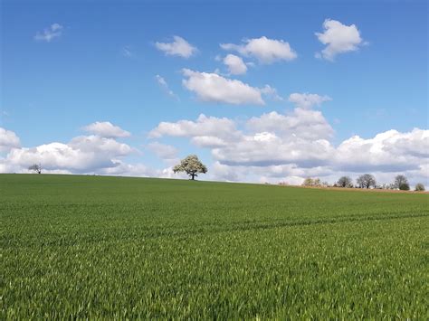 Volksantrag L Ndle Leben Lassen Erste Zwischenbilanz Ist Positiv