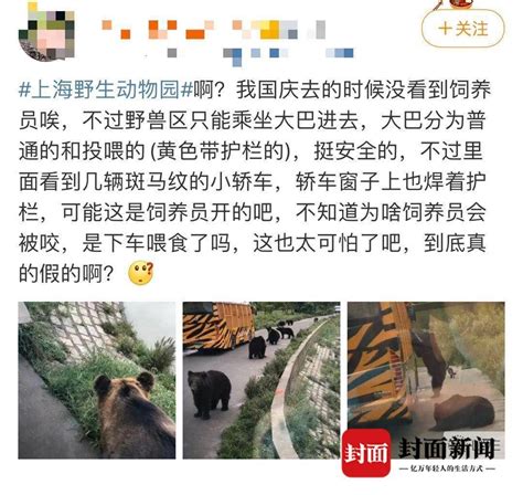 饲养员遭熊攻击身亡 现场疑曝光 到底是什么状况？苏州都市网