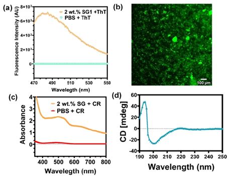 A ThT Fluorescence Emission Spectra Obtained For The Designed Hydrogel