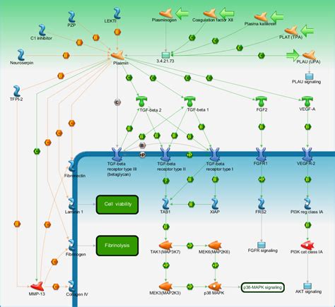 Cell Adhesion Plasmin Signaling Pathway Map Primepcr Life Science Bio Rad