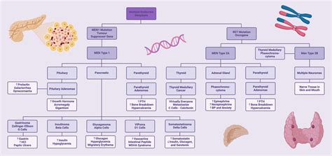 Multiple Endocrine Neoplasms Genetic Syndromes Biorender Science