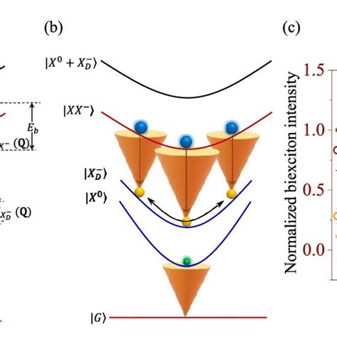 Gate Voltage Dependent Charged Biexciton Kinetics A Plot Of XX