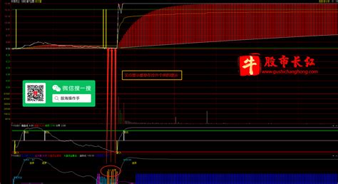 通达信vip指标，通达信分时t0 高抛低吸 分时主图 分时副图指标 套装 适用于可转债分时套利 手机电脑通达信通用 通达信公式 股市长红网