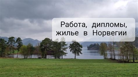 Интеграция в Норвегии. Миграция по стране. Статистика. - YouTube