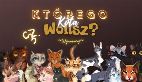 Którego kota wolisz część III Wojownicy sameQuizy