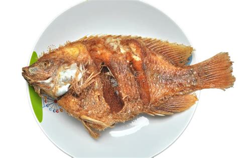 Fried Fish On The White Plate Stock Image Image Of Snack Golden