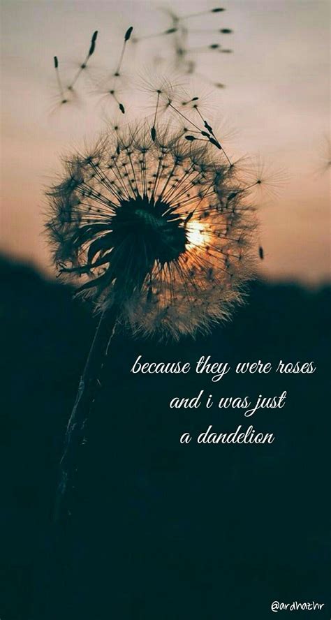 Dandelion Quotes Shortquotescc