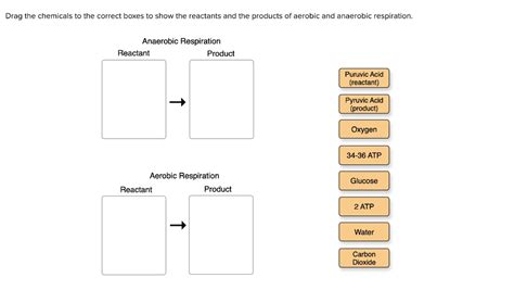 Solved Drag The Chemicals To The Correct Boxes To Show The Reactants