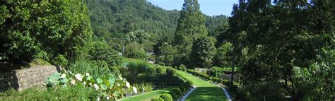 History And Features Takeda Garden For Medicinal Plant Conservation